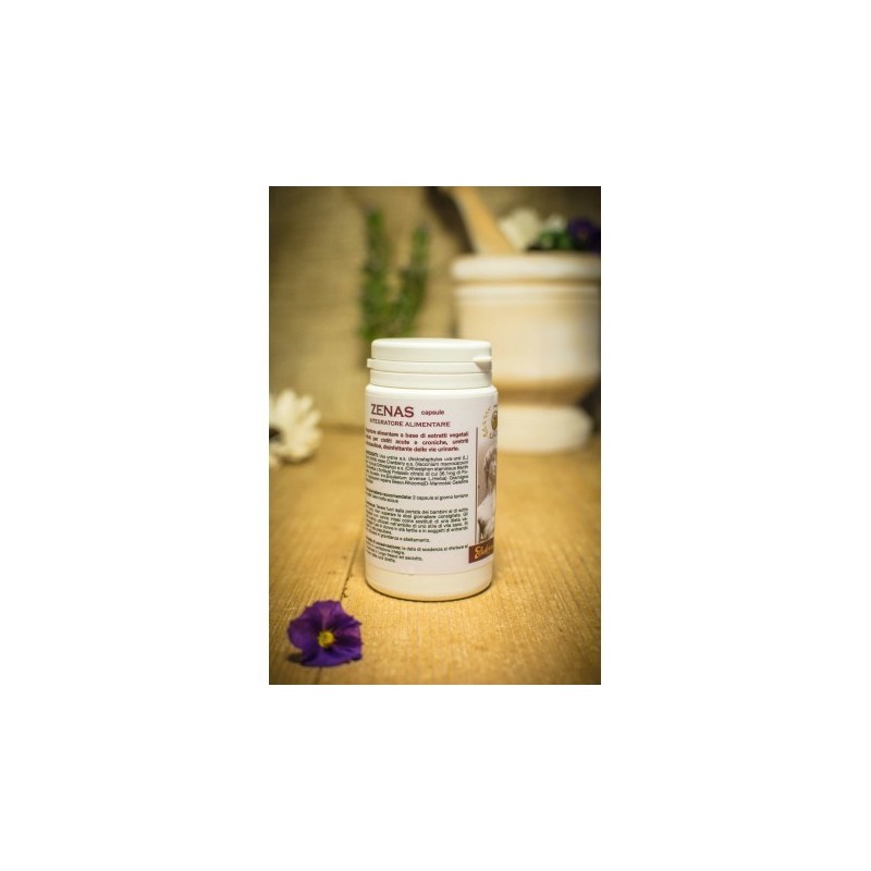 Zenas 400mg 100 capsule