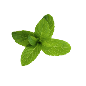 Klorane polvere purificante menta acquatica 50 g Klorane polvere purificante menta acquatica 50 g