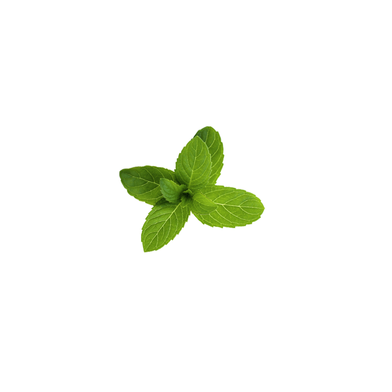 Klorane crema purificante menta acquatica 40 ml Klorane crema purificante menta acquatica 40 ml