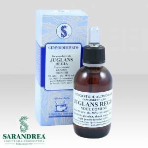 Juglans regia 100 ml macerato glicerico