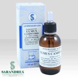 Ulmus campestris 100 ml macerato glicerico