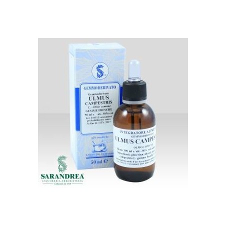 Ulmus campestris 100 ml macerato glicerico
