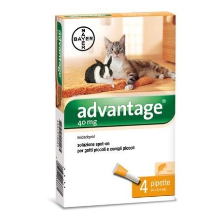 Advantage 40 mg soluzione spot-on per gatti piccoli e conigli piccoli Advantage 40 mg soluzione spot-on per gatti piccoli e conigli piccoli