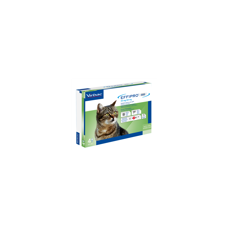 Effipro duo 50 mg/60 mg soluzione spot-on per gatti