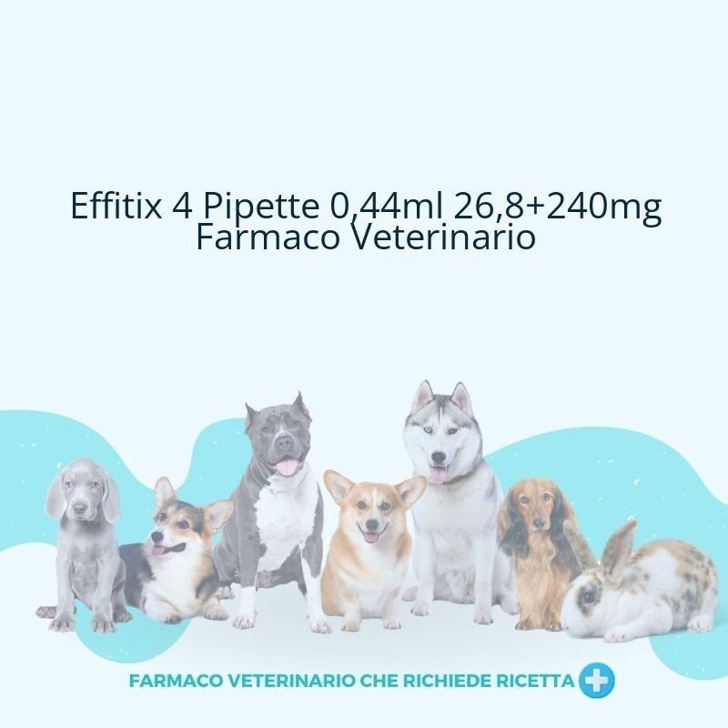 Effitix 26.8 mg/240 mg soluzione spot-on per cani di taglia molto piccola Effitix 26.8 mg/240 mg soluzione spot-on per cani di taglia molto piccola