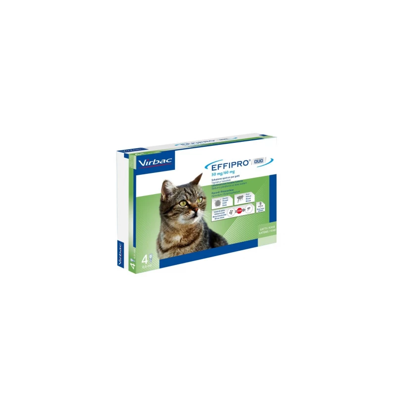 Effipro duo 50 mg/60 mg soluzione spot-on per gatti