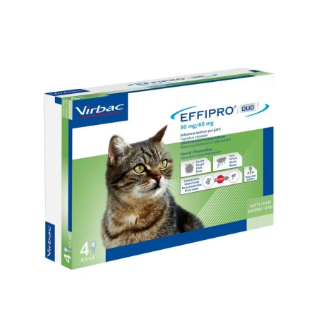 Effipro duo 50 mg/60 mg soluzione spot-on per gatti