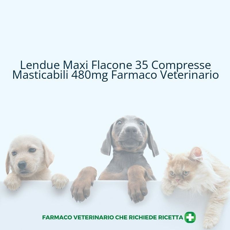 Lendue maxi 480 mg compresse masticabili per cani di grossa taglia