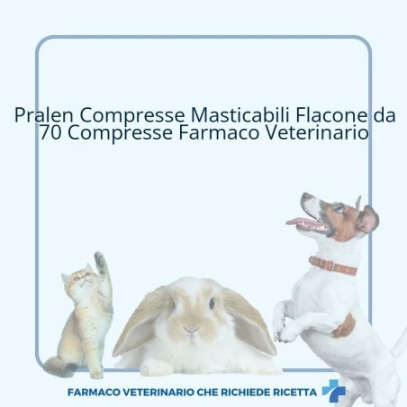 Pralen 240 mg/20 mg compresse masticabili per gatti e cani di piccola e media taglia