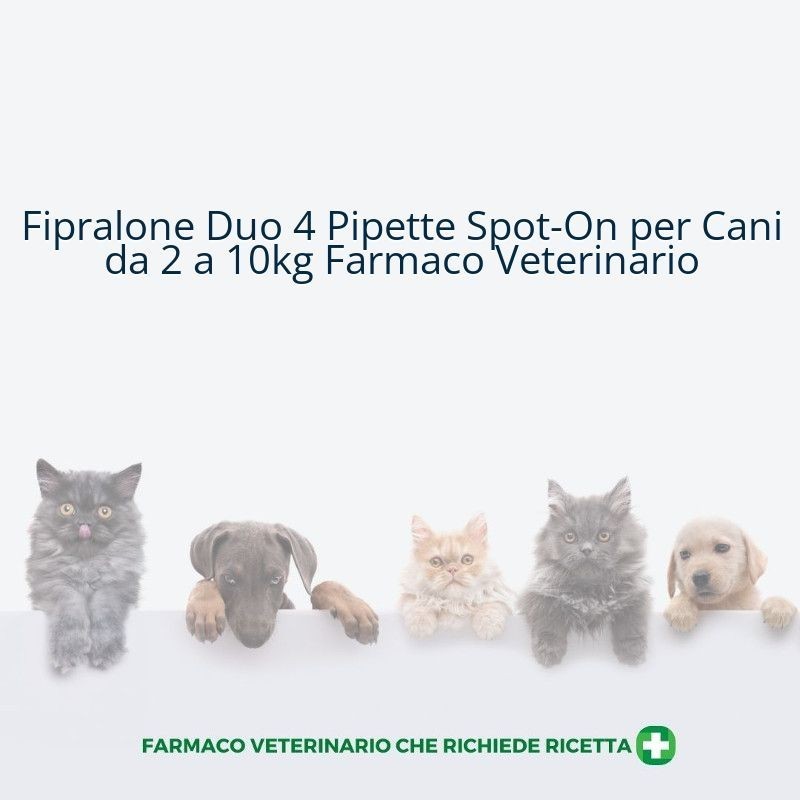 Fipralone duo 67 mg/20 mg soluzione spot-on per cani di piccola taglia