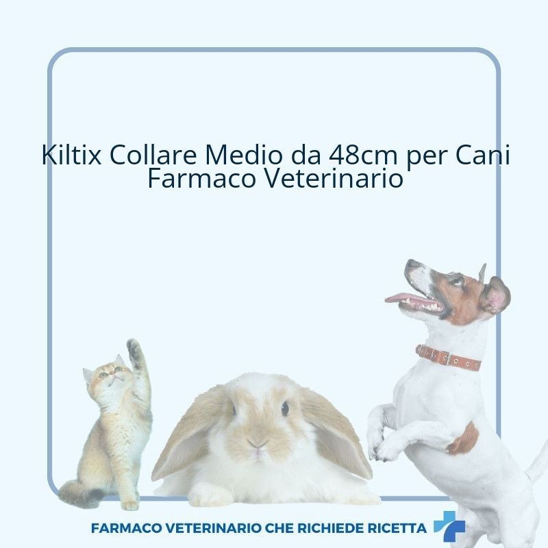 Kiltix collare antiparassitario per cani