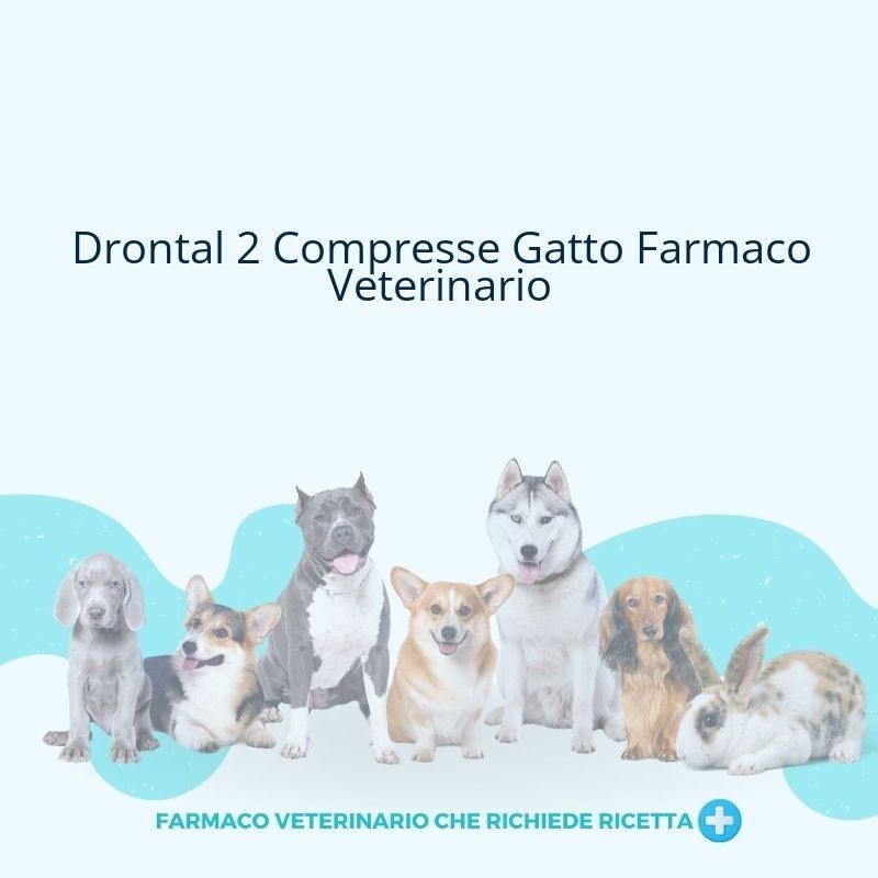 Drontal compresse per gatti Drontal compresse per gatti