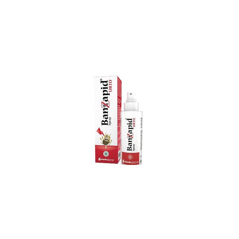 Banzapid spray trattamento 100 ml