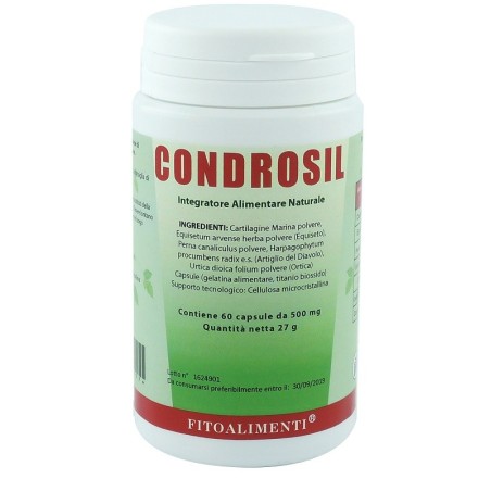 Euronatur Group Condrosil 60 Capsule Euronatur Group Condrosil 60 Capsule