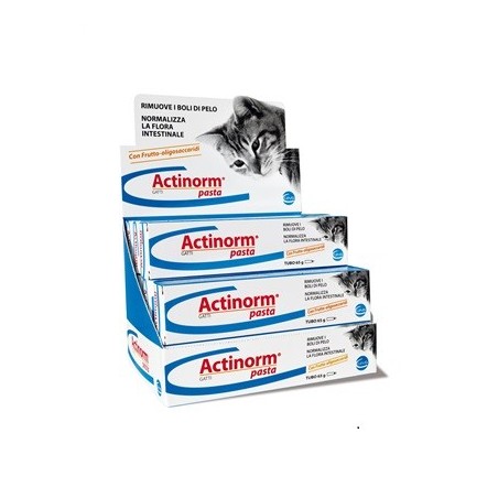Ceva Salute Animale Actinorm Pasta Gatti Antibolo - 65g