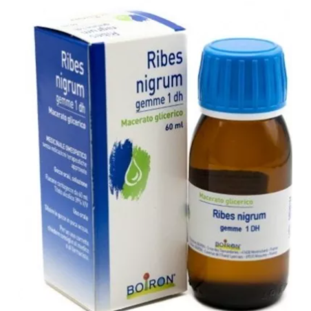 Boiron Ribes Nigranulium Gemme Macerato Glicerico 60 Ml