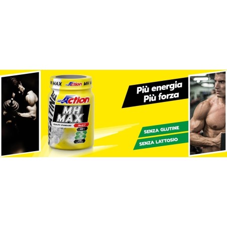 Proaction Creatine Mh Max 500 G Proaction Creatine Mh Max 500 G
