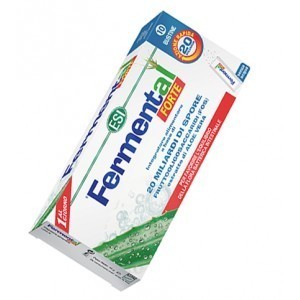 Esi Fermental Forte 10 Bustine Orosolubili