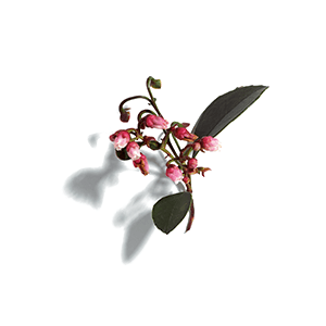 Caudalie Vinopure Gel Detergente 150 Ml