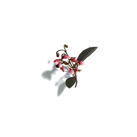 Caudalie Vinopure Gel Detergente 150 Ml