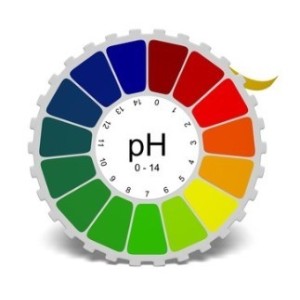 Biemmefarma Cartina Tornasole Ph 1-11