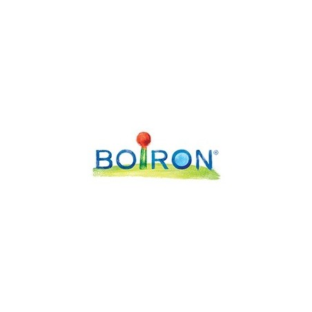 Boiron Arsenicum Alb Boi 200ch Gl Boiron Arsenicum Alb Boi 200ch Gl