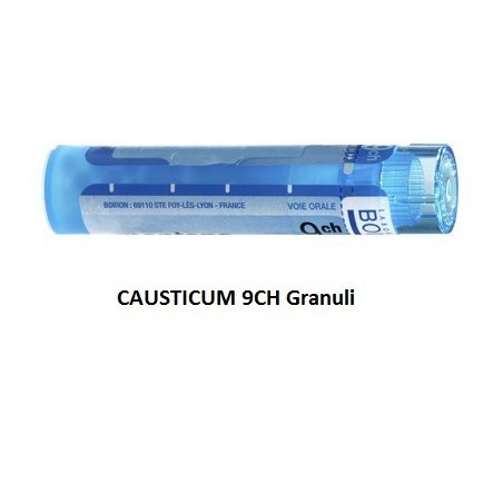 Boiron Causticum Boi 9ch 80gr 4g Boiron Causticum Boi 9ch 80gr 4g