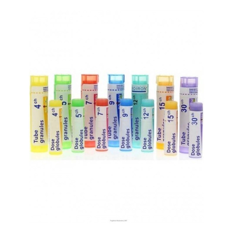 Boiron Hepar Sulfur Boi 30ch 80gr Boiron Hepar Sulfur Boi 30ch 80gr