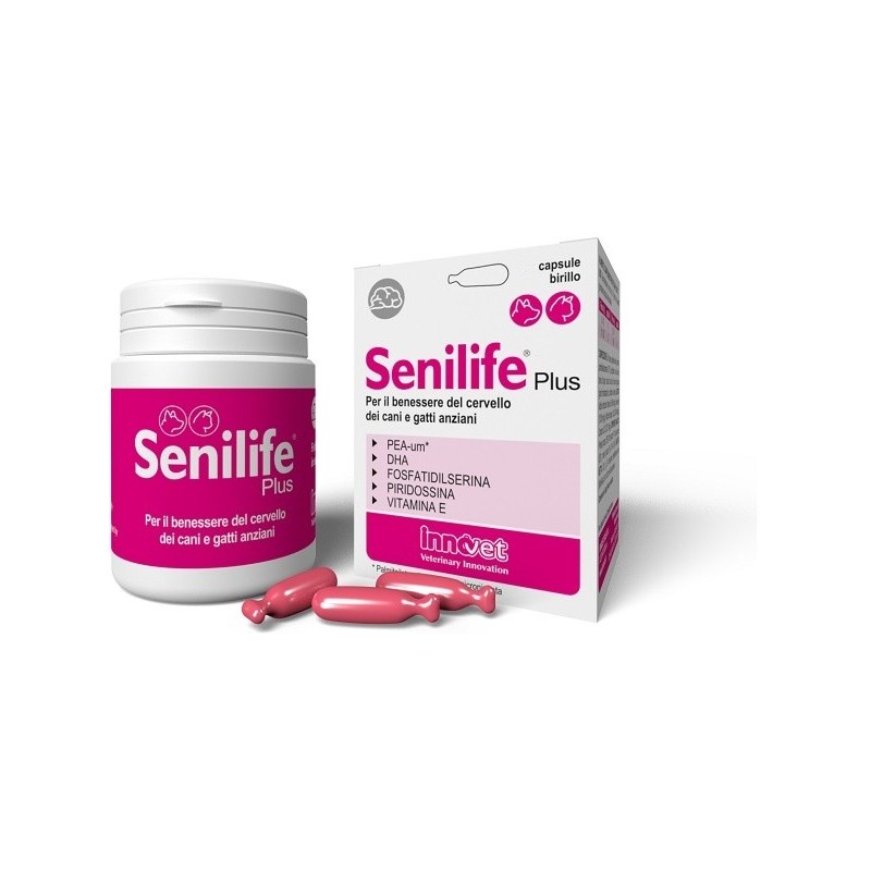 Innovet Italia Senilife Plus 60 Capsule Innovet Italia Senilife Plus 60 Capsule