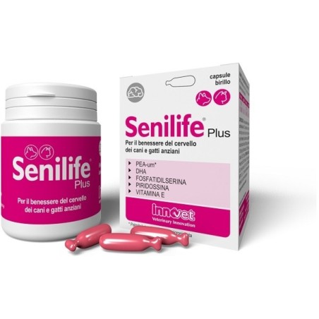 Innovet Italia Senilife Plus 60 Capsule Innovet Italia Senilife Plus 60 Capsule