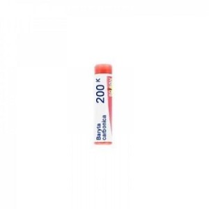 Boiron Baryta Carbon Boi 200k Gl 1g Boiron Baryta Carbon Boi 200k Gl 1g