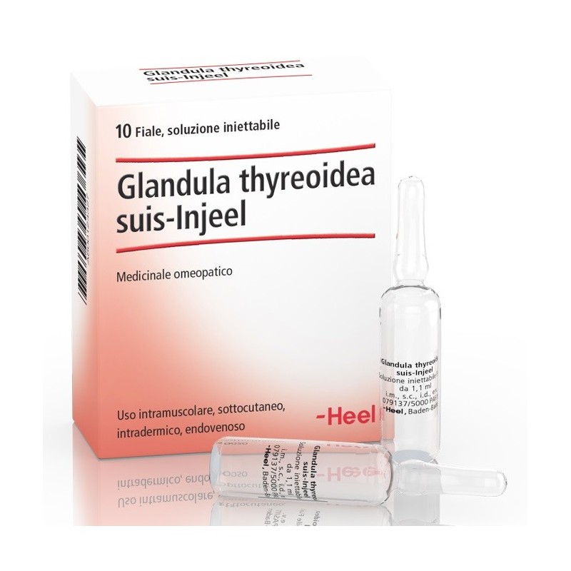 Guna Heel Glandula Thyroidea Suis Injeel 10 Fiale Guna Heel Glandula Thyroidea Suis Injeel 10 Fiale