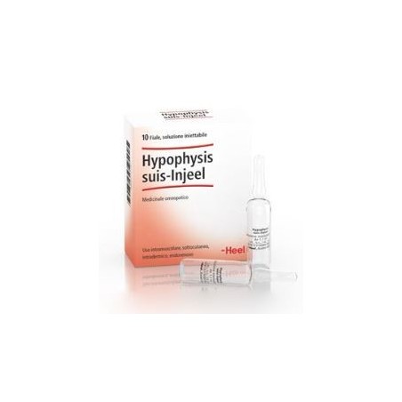 Guna Heel Hypophysis Suis Injeel 10 Fiale Guna Heel Hypophysis Suis Injeel 10 Fiale