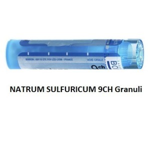 Boiron Natrum Sulf Boi 9ch 80gr 4g