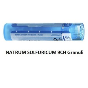 Boiron Natrum Sulf Boi 9ch 80gr 4g