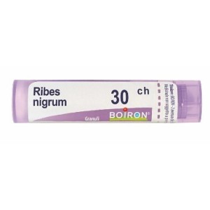 Boiron Ribes Nigrum 30ch Gr