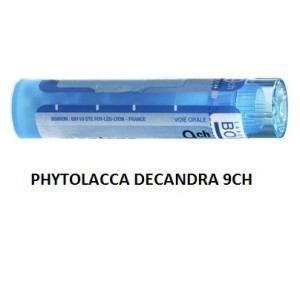 Phytolacca decandra 9ch 80gr