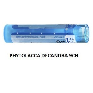 Phytolacca decandra 9ch 80gr