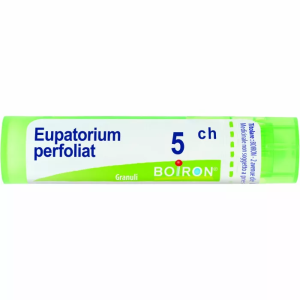 Eupatorium perfoliatum 5ch80gr