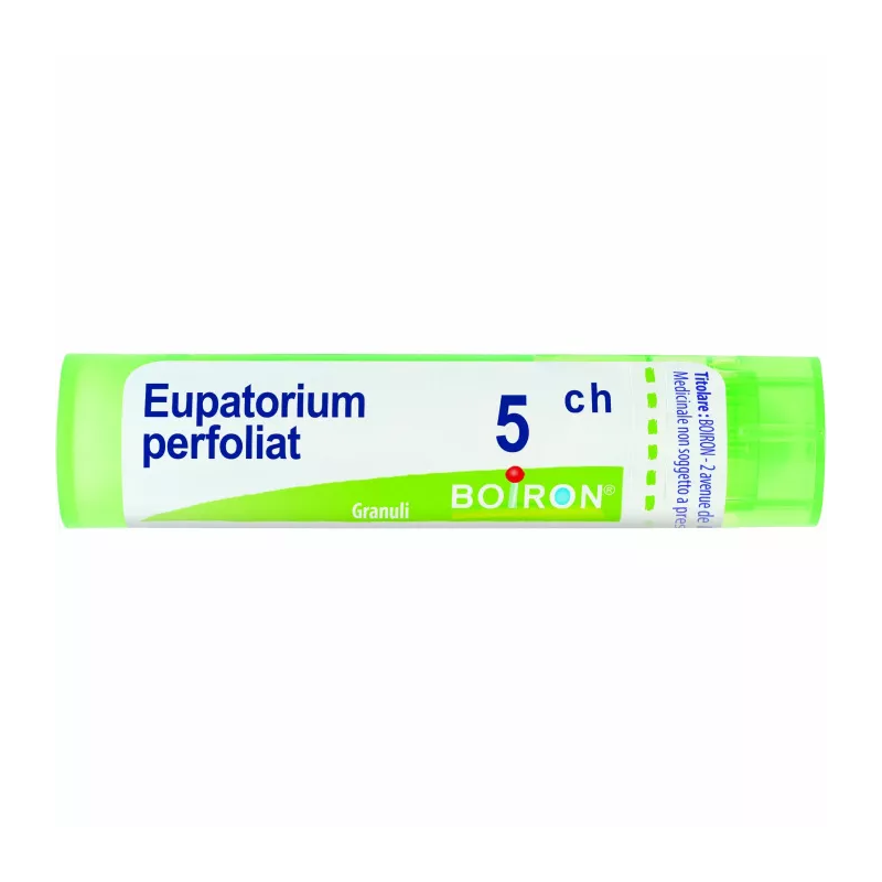 Eupatorium perfoliatum 5ch80gr