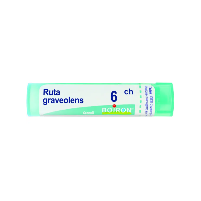 Ruta graveolens 6ch 80gr 4g