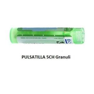 Pulsatilla 5ch 80gr 4g Pulsatilla 5ch 80gr 4g