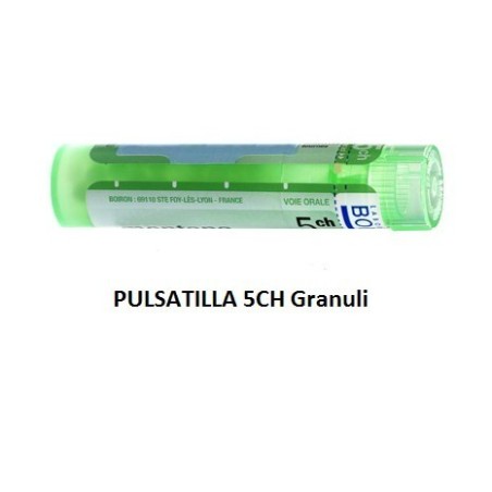 Pulsatilla 5ch 80gr 4g Pulsatilla 5ch 80gr 4g