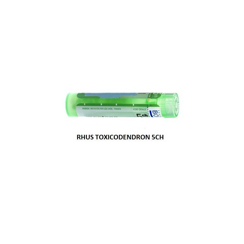 Rhus toxicodendron 5ch 80gr 4g