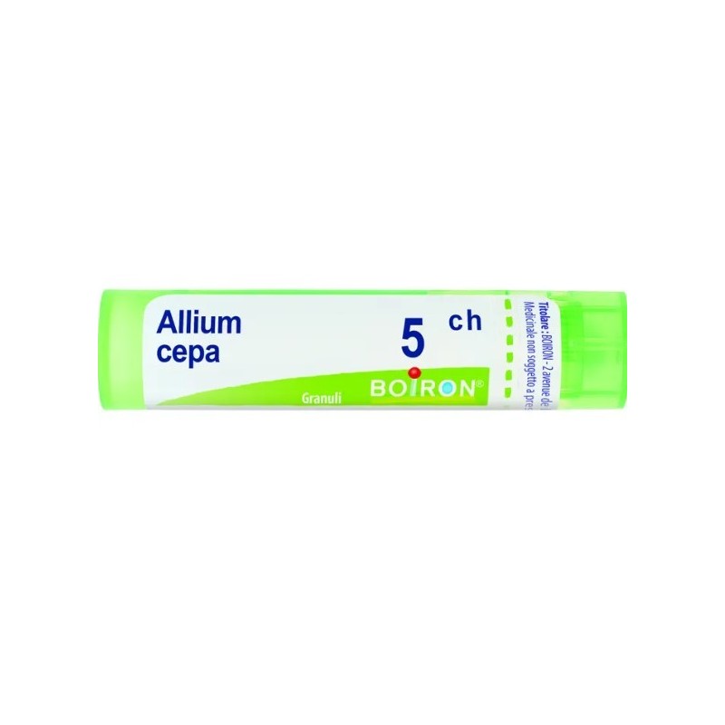 Allium cepa 5ch 80gr 4g Allium cepa 5ch 80gr 4g