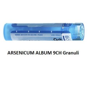 Arsenicum album 9ch 80gr 4g