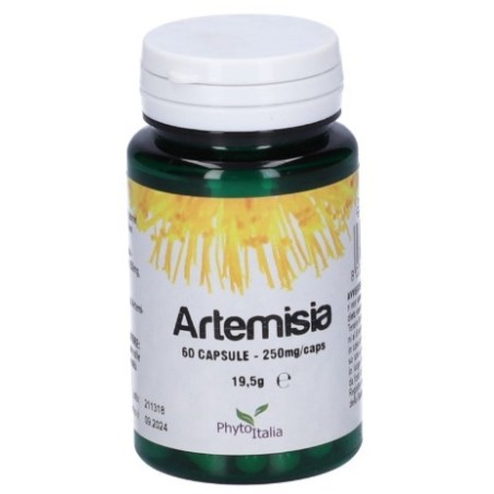 Artemisia 60 capsule