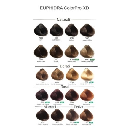 Euph colorpro xd 807 biond
