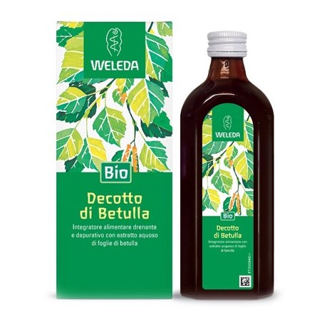 Decotto di betulla 250ml