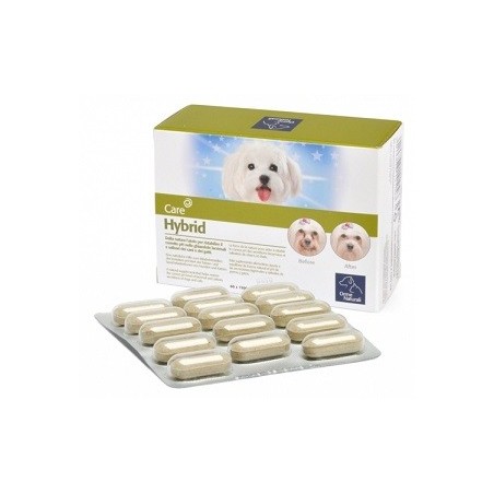 Hybrid orme nat 60 compresse